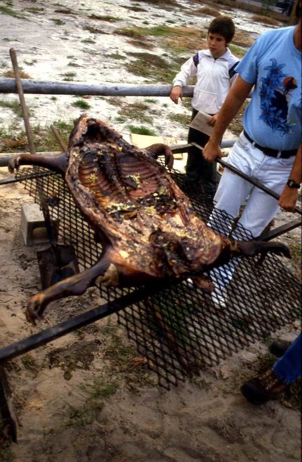 Lechon being barbecued - Jacksonville, Florida