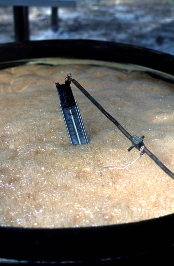 Boiling sugar cane syrup - White Springs, Florida