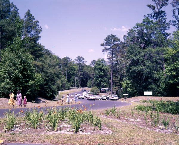 Cars parked and visitors heading to the Folk Festival- White Springs, Florida.