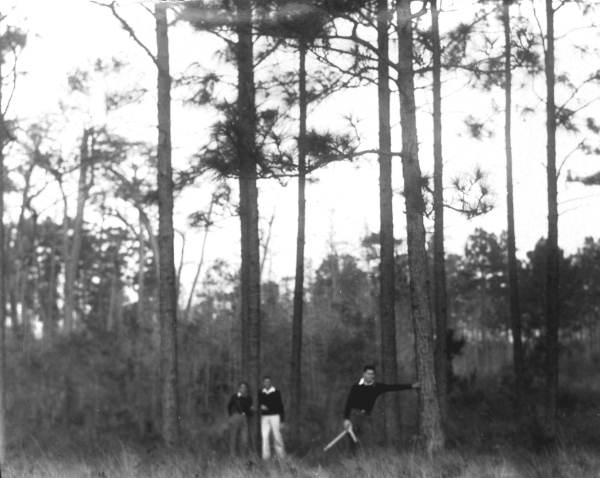 Aged longleaf pine stand on unburned site.