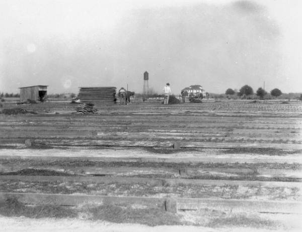 Boarded seed beds