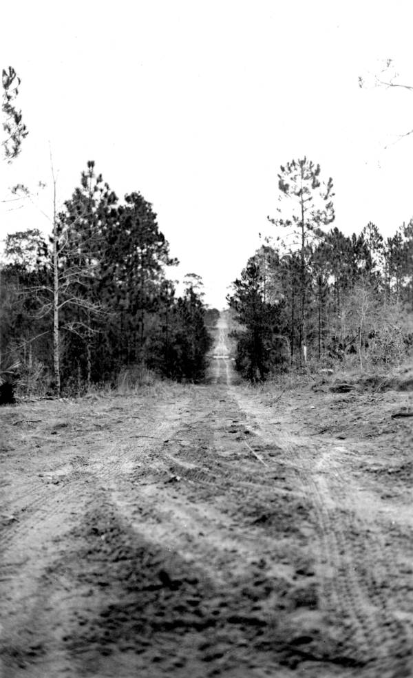 Railroad tram road converted into woods road