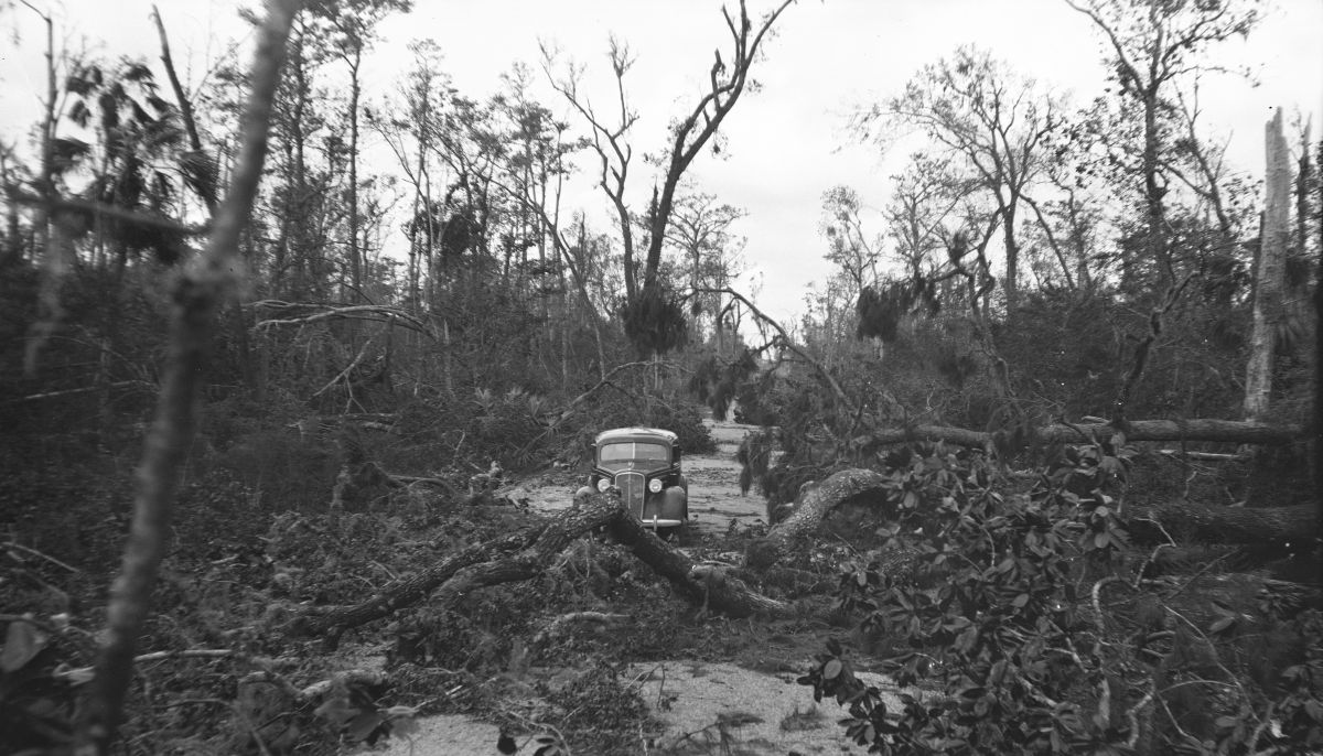 Damage in hardwood swamp caused by hurricane of Sept. 4, 1935.