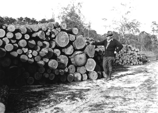 Pulpwood awaiting water shipment