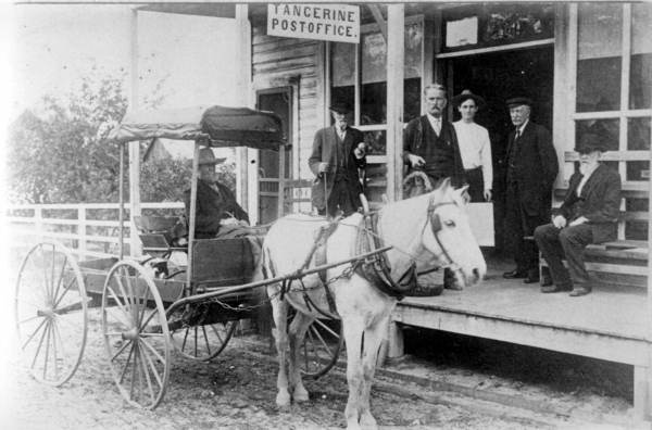 Post office and wagon - Tangerine, Florida.