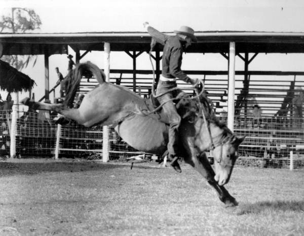 Rodeo action - Arcadia, Florida