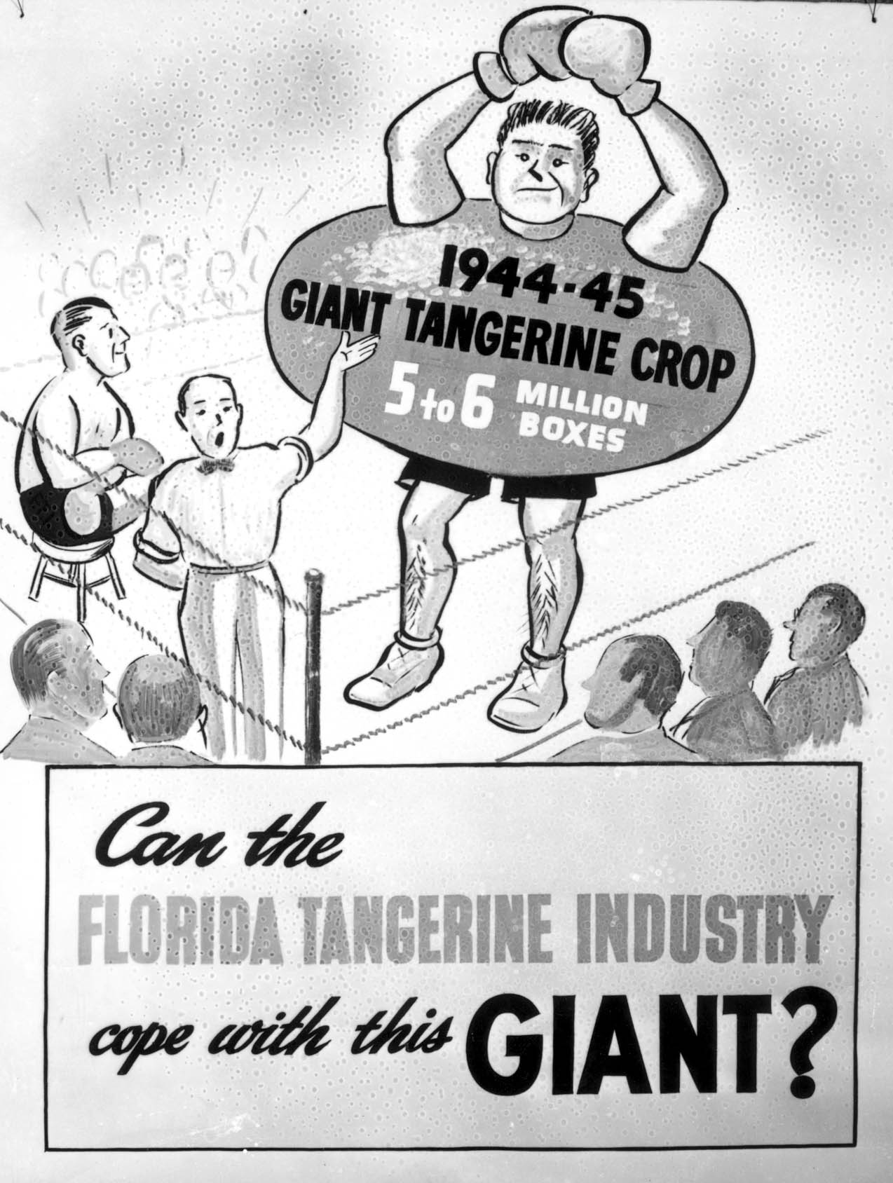 Florida Citrus Commission poster