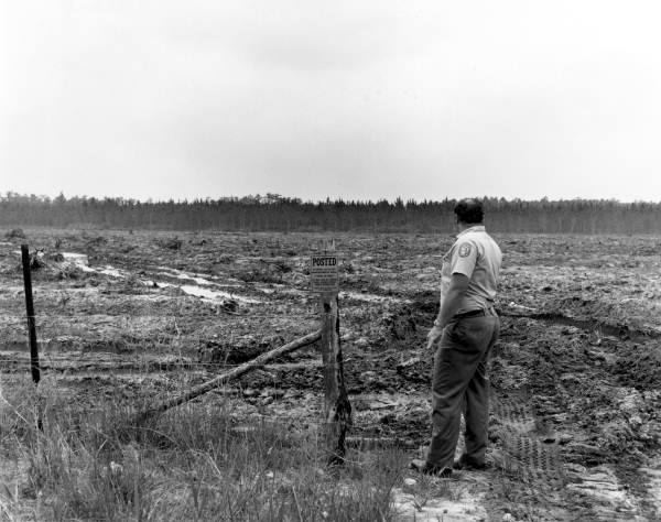 Game and fish officer looks over a field .