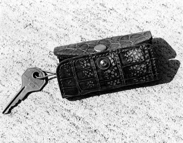 Caiman key holder