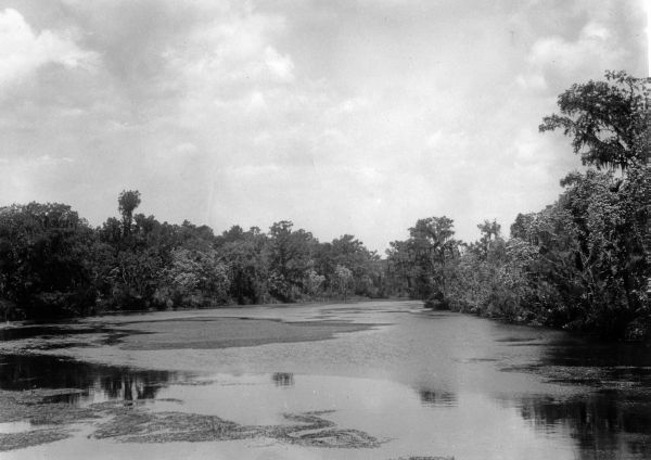 Suwannee River