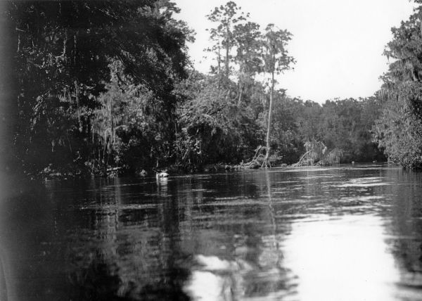 Suwannee River