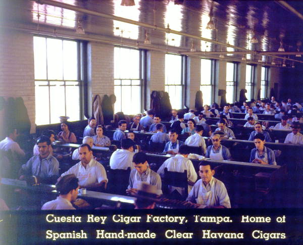Tampa's tobacco industry.