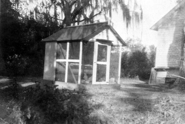 Aviary at Live Oak Plantation - Leon County, Florida