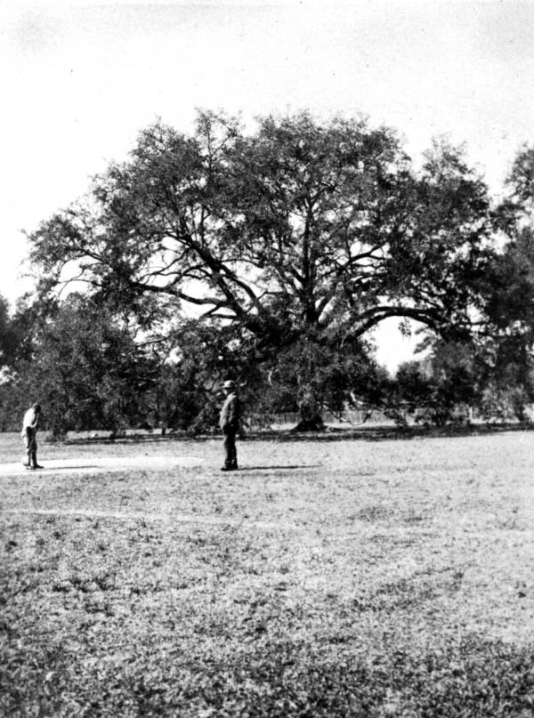 Golfers on Live Oak's golf course - Leon County, Florida