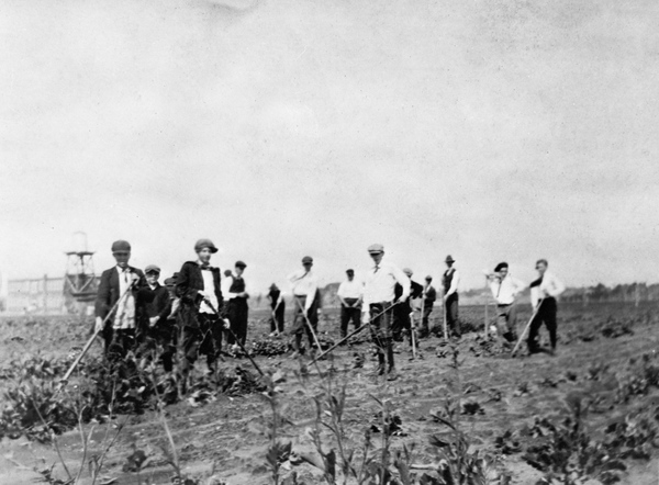 Future Farmers of America garden plots - Gainesville, Florida.