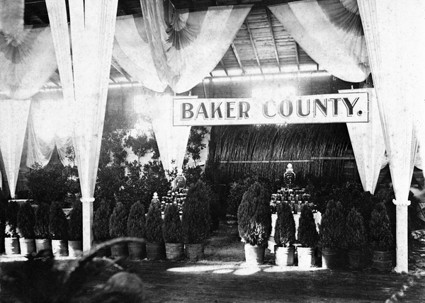 Baker County agricultural exhibition at first Florida State Fair - Tampa, Florida.