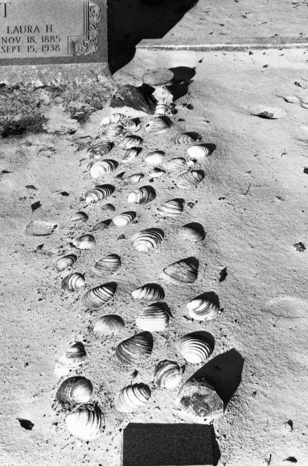 Thrift plot with seashells at Macedoni Cemetery - Baker County, Florida