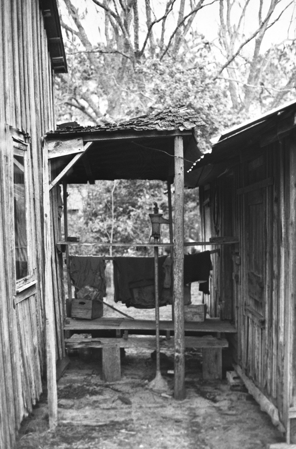 View between house and kitchen - Ivy Williams place