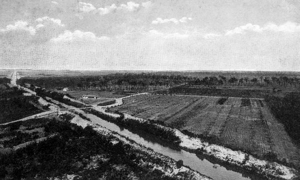 Reclaiming the Everglades