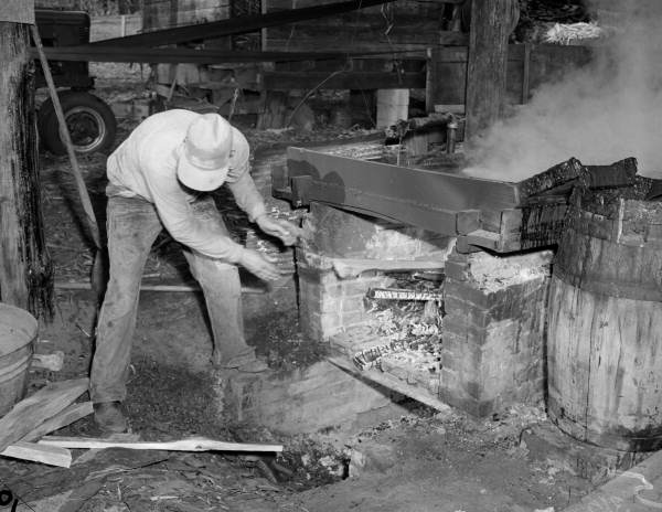 Ira Lee feeds wood into the fire under the vat of boiling cane syrup - near Tallahassee, Florida