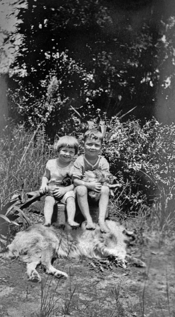 Boy and girl with cats and dog