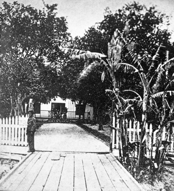 Entrance to Colonel Hart's grove opposite Palatka - Florida