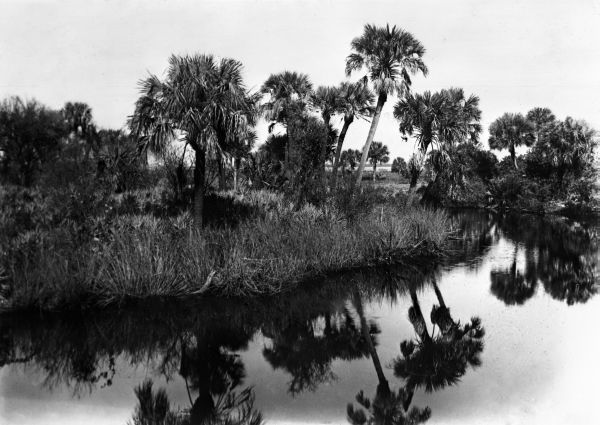 Taylor Creek - Fort Pierce, Florida.