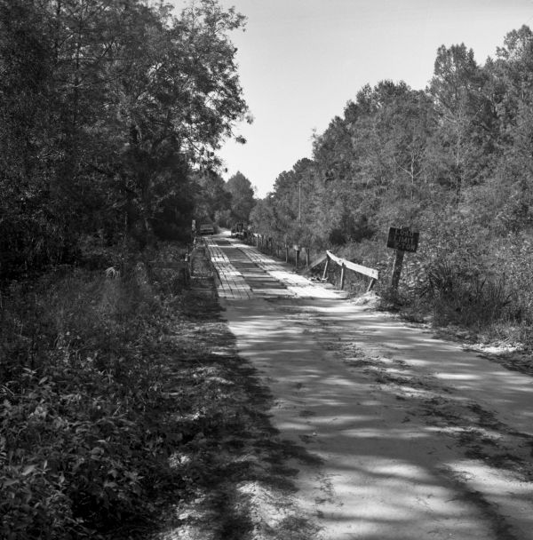 Approach to Steinhatchee Springs Bridge - Lafayette County, Florida