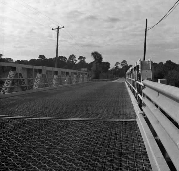 Bridge over the Oklawaha River - Marion County, Florida