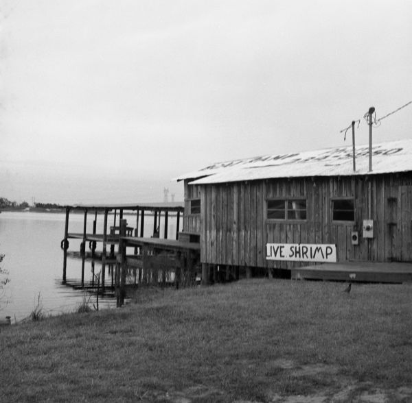 Bait shop beside West Bay Bridge - Bay County, Florida.