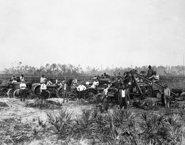 Clearing land for Daytona Highlands.