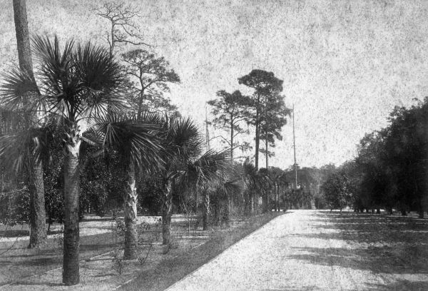 Stetson Mansion's drive - DeLand, Florida