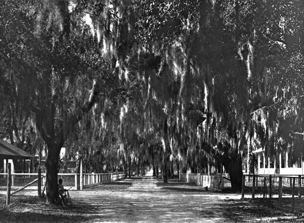 Florida view - De Land, Florida