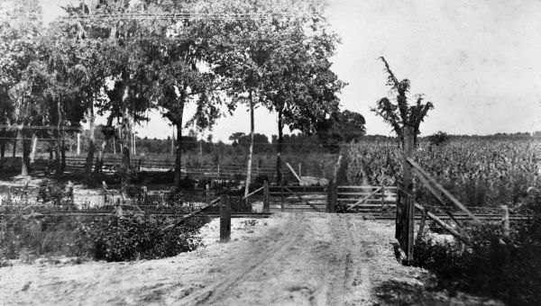 Wheeler Street railroad crossing - De Leon Springs, Florida