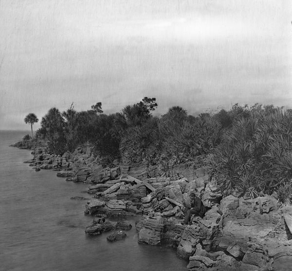 Coquina shoreline - Eau Gallie, Florida