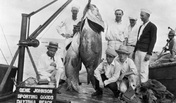 Grouper caught in the Halifax River displayed at Gene Johnson's Tackle Shop - Daytona Beach, Florida