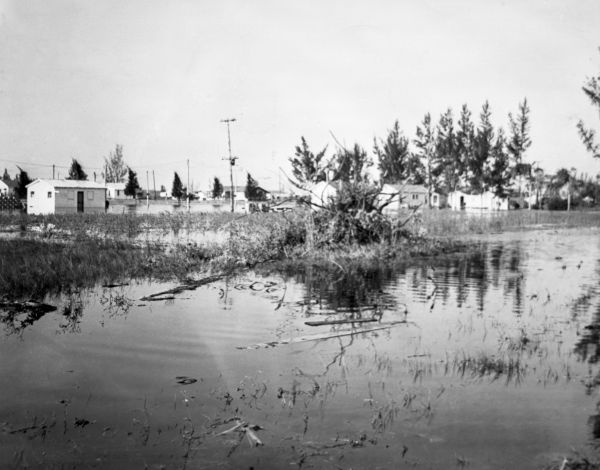 Flood - Clewiston, Florida