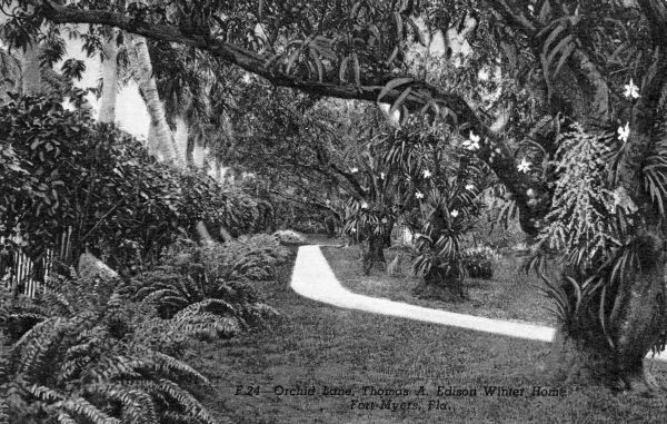 Orchid Lane, Thomas A. Edison winter home - Fort Myers, Florida