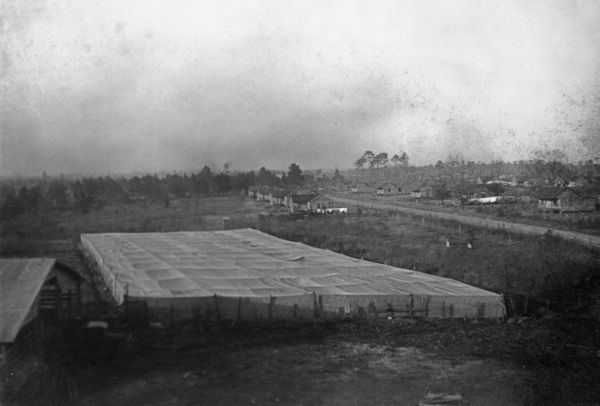 View of seedbed and tenant houses from water tower - Hardaway, Florida