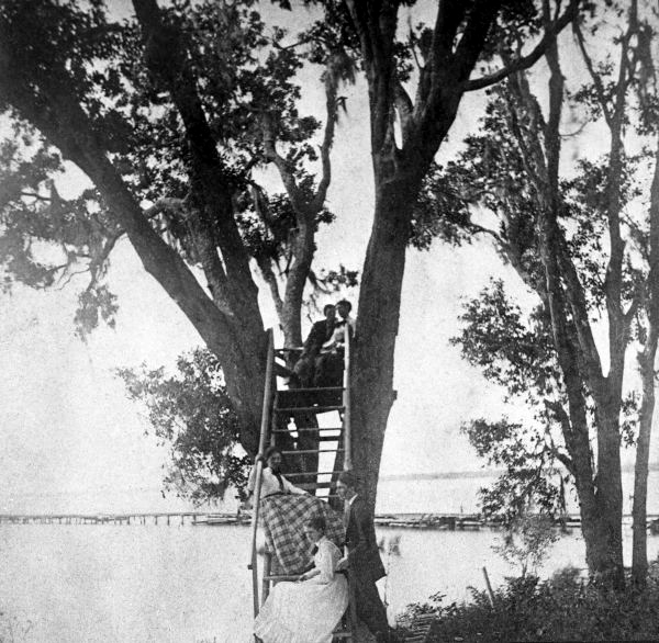 People in tree stand beside the St. Johns River in Hibernia.