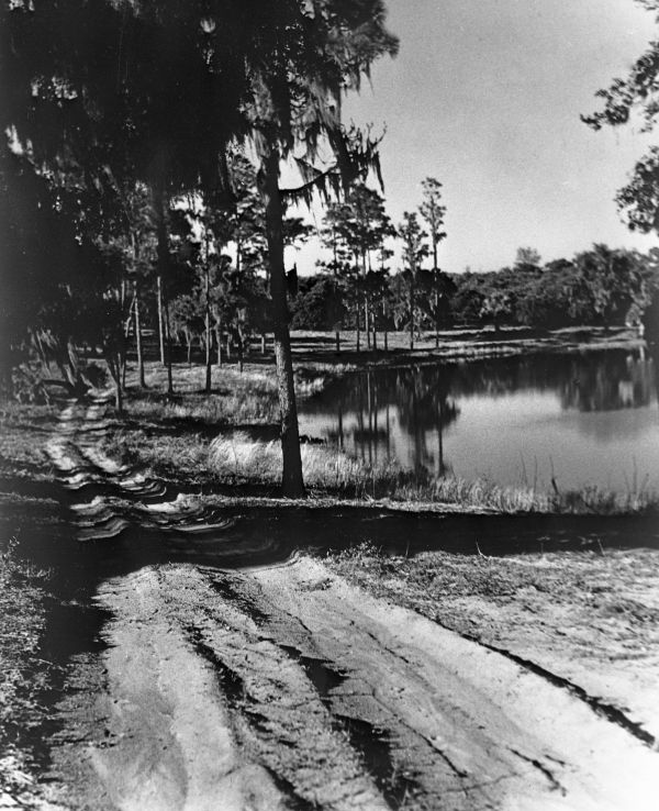 Grove Street - Eustis, Florida