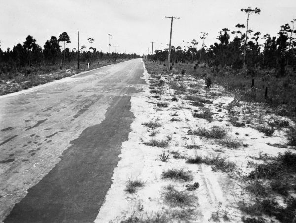Red Road from South Miami to Chapman Field built by the FERA- Florida.