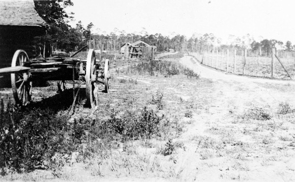 Florida Memory • Rural road - Hernando County, Florida