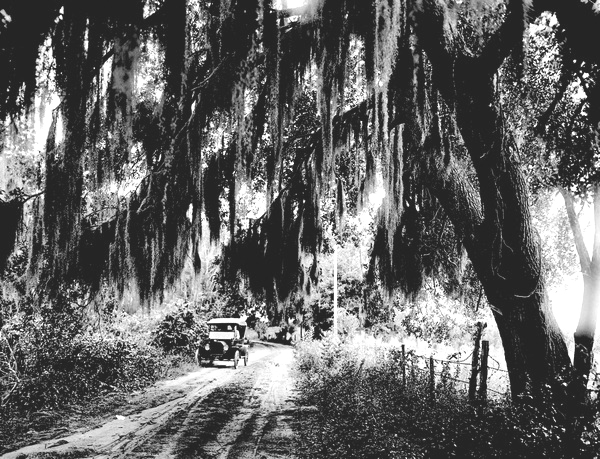 Florida Memory • Car on rural road - Hillsborough County, Florida