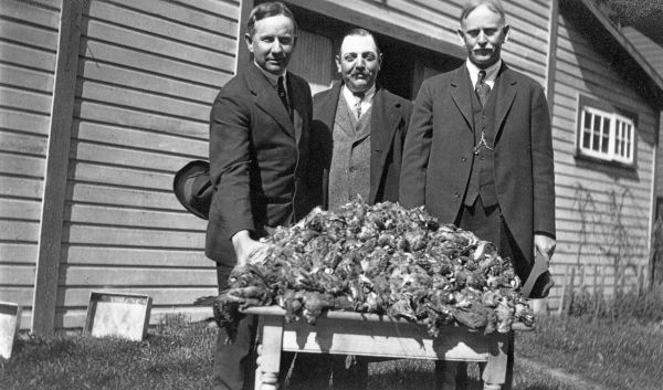 Dove or quail hunters on a Leon County plantation