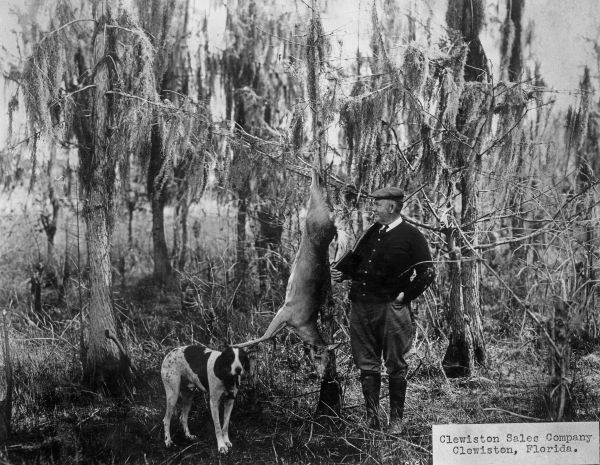 Deer shot near Clewiston - Florida