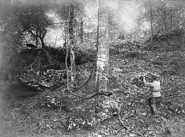 Turkey hunting in Jackson County - Florida