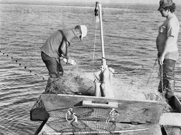 Setting out a beach seine