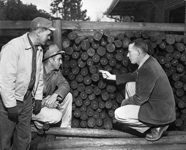 Creosote treated posts at Farmers Mutual Exchange - Madison