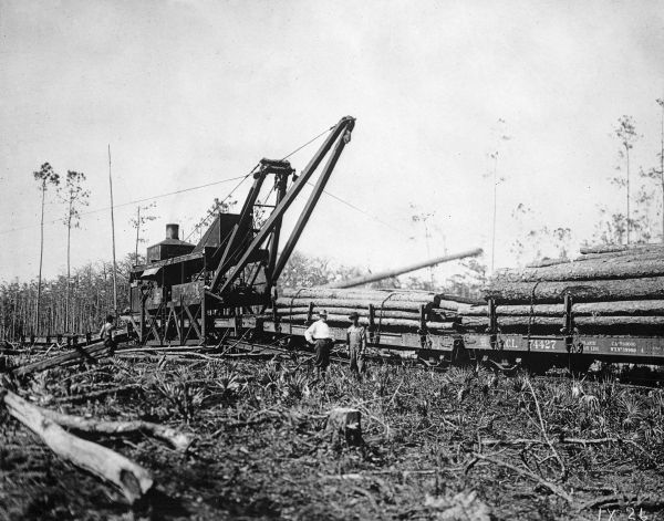 Skidder loading logs at Carbur